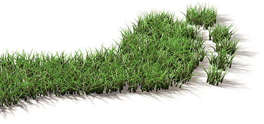 shutterstock_1662210298_designrage_1000x368px.png