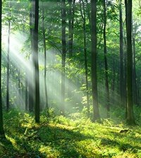 541x200_shutterstock_721120522.png